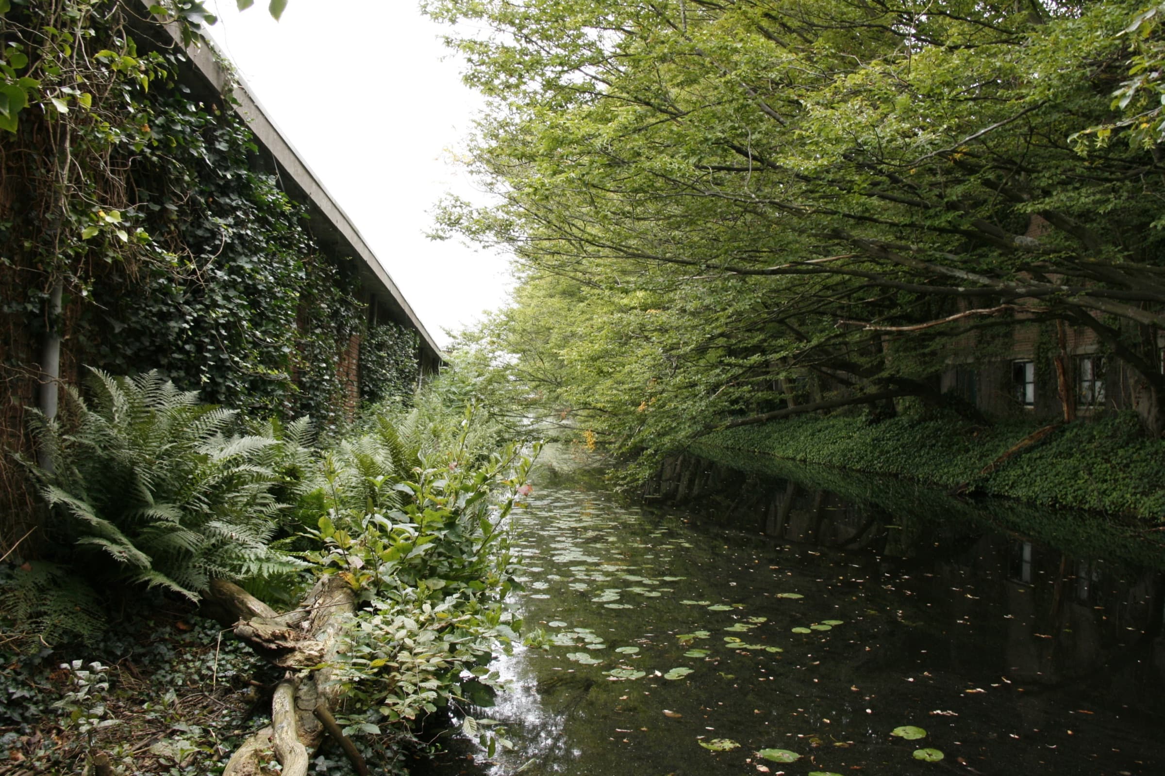 Staringlaan Waddinxveen — image 2